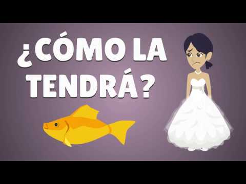 download lagu mp3 mp4 Chistes De Adultos, download lagu Chistes De Adultos gratis, unduh video klip Chistes De Adultos