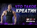 Что такое КРЕАТИН? Креатин в Спорте.