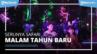 Acara Malam Tahun Baru di Taman Safari Bogor, Saksikan Indahnya Hutan Menyala