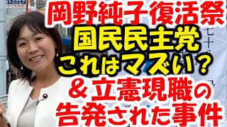 国民民主党、岡野純子議員、公式チャンネルで復活。パワハラ騒動、標旗問題は？立憲民主党の告発・告訴された枝野・柚木・野田議員は？