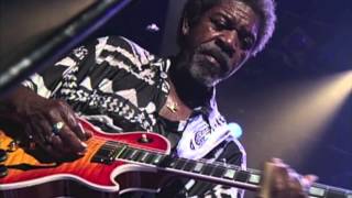 It Hurts Me Too - Luther Allison (Live)