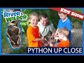 BOYS HOLD BALL PYTHON ON ZOO ADVENTURE KIDS TV