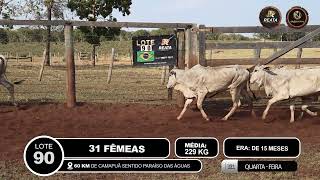 Vídeo LOTE 90