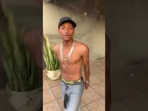 MC Malloy - Medley Consciente | Revelação (2019)