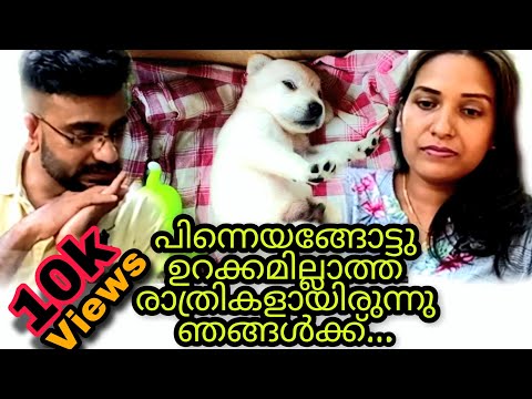 Story of Roby (part - 2) | Labrador Retriever | Little Misty