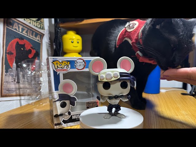 Vídeo relacionado con Funko Figura de Vinilo Pop! Demon Slayer Muscle Mouse #1536