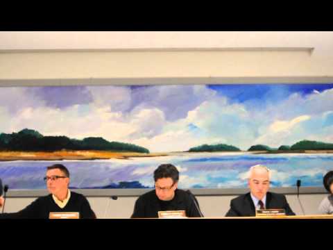 NancyOnNorwalk.com – Norwalk Recs and Park, Cranbury 'zipline' Forte