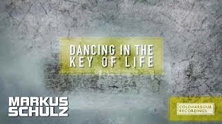 Markus Schulz - Dancing In The Key Of Life (Michael Gin Remix)