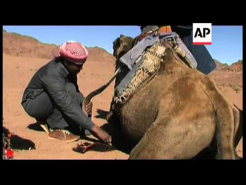 Tourists learn the art of camel riding ++REPLAY++