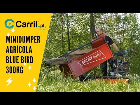 Minidumper Agrícola Blue Bird – 300 kg