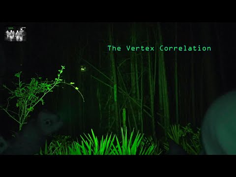 THE VERTEX CORRELATION