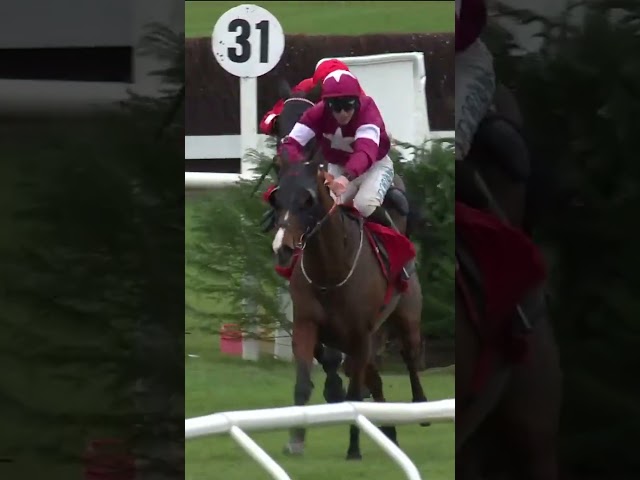 Thumbnail for Post ID: fMV0ZnrFijs