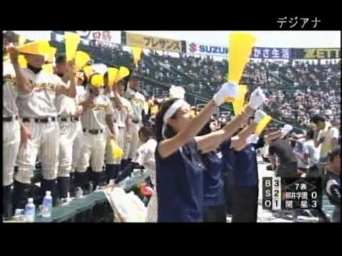 柳井学園　ベンチ　スタンド　IN　甲子園