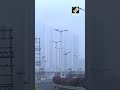 Dense fog engulfs Mumbai, air quality stands at 42