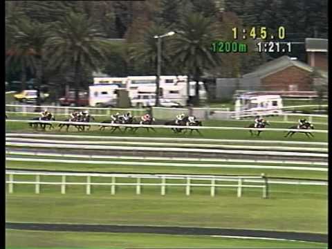1994 AJC Derby - Mahogany
