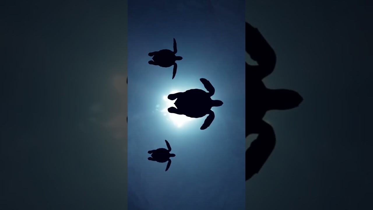 Namibia Flag Meaning 🇳🇦