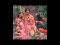 Larry Coryell - No One Really Knows
