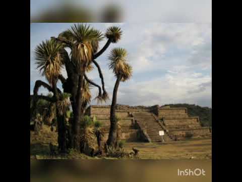 Áreas Naturales Protegidas de Hidalgo_Heidy Azeneth