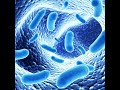 Streptococcus Revealed - Radio Show Archive