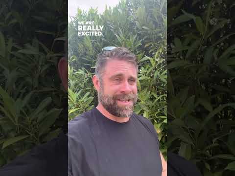 The redcoats are coming!