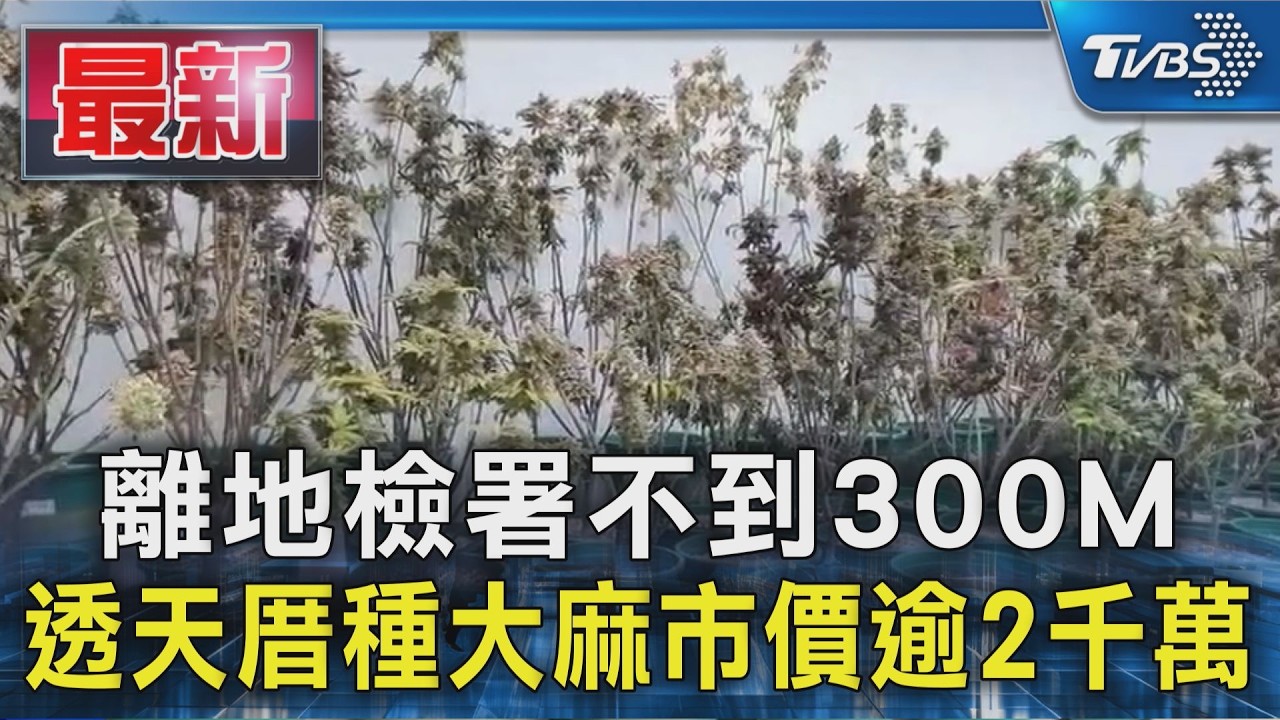 離地檢署不到300M 透天厝種大麻市價逾2千萬|TVBS新聞 @TVBSNEWS01
