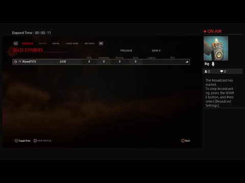 World War 2 Zombie Special character challenge. Survive 25 waves in Prologue no downs attempt