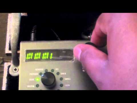 Strymon Timeline Dual settings Dotted 8th  !!!Tutorial!!!!