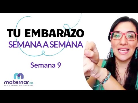 Semana 9 | Tu embarazo semana a semana | Maternar.co