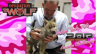 Operation Wolf (Operation Bear - Korea Bootleg) | Retro Tech 100 20p Arcade Challenge