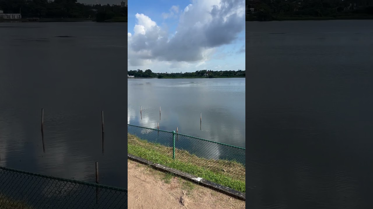 YouTube Short thumbnail