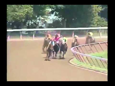 Birdstone - 2003 Saratoga Maiden Race