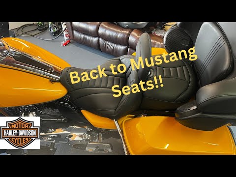 I Came Back to the Mustang Seat! Super Excited
