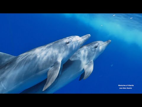 Memories of Atlantis - Relaxing music - jean-marc Staehle