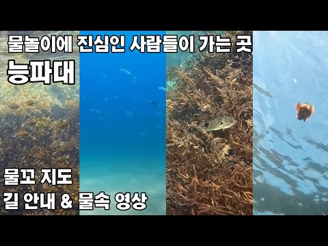 능파대 사진