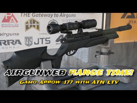 The Gamo Arrow .177 PCP - Affordable, FUN backyard airgun for target practice, plinking, and pesting