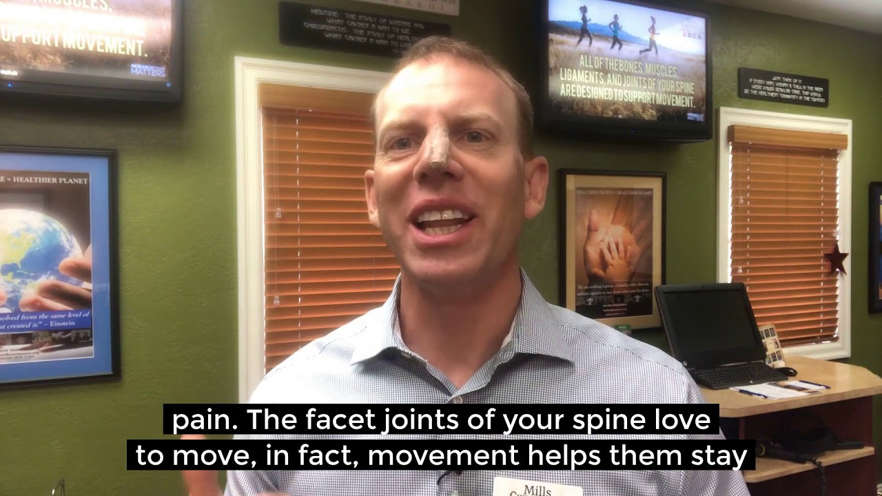 Facet joints, gliding your way to better health - YouTube