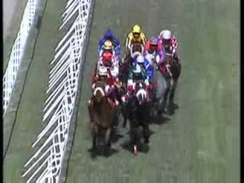 Halo Hunter - R.Joorawon -  Mohammad Moorad Keerpah - Free Horse Racing Tips