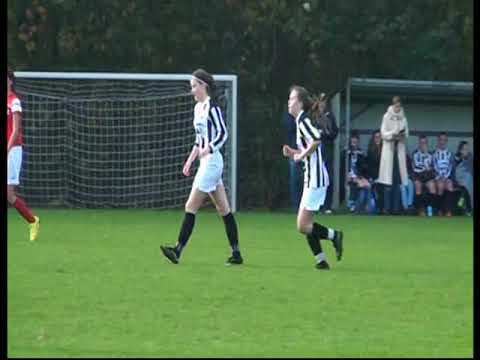 Samenvatting Excelsior'31 MO 17-1  -  NEO 17-1 ( borne comp veld  4 11 2017