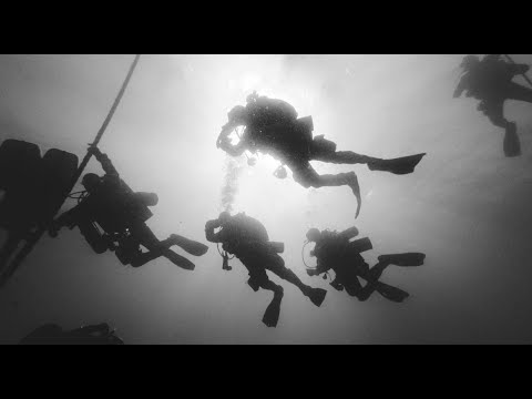 Plongée sur l'épave du  MT Haven - Septembre 2023 / Dive on the MT Haven wreck - September 2023