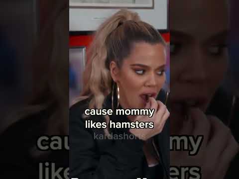 North being a mini Kanye West