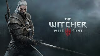 The Witcher 3: Wild Hunt | Part 34 - Deadly Plot