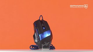 Мышь Oklick 775G Ice Claw, проводная, USB, черный - купить в Ситилинк ...
