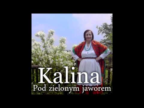 04 Pod zielonym jaworem - Pod zielonym jaworem - Kalina