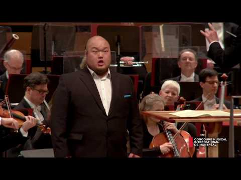 Mozart   Il mio tesoro intanto Don Giovanni   Mario Bahg, tenor