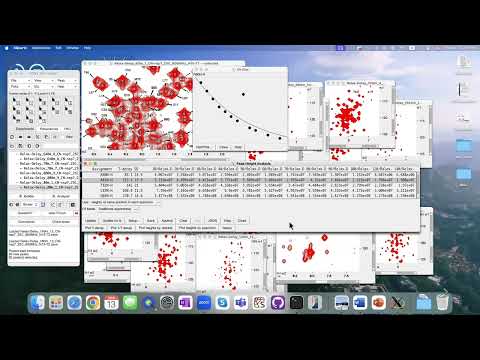 T1/T2/hetNOE using rh and np plugins thumbnail