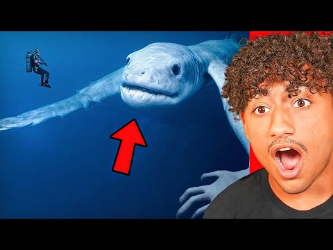 World's *CRAZIEST* Discoveries!