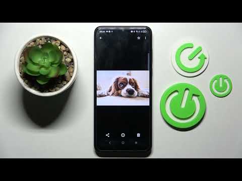 How to Find the Downloaded Files on the TCL 30 SE