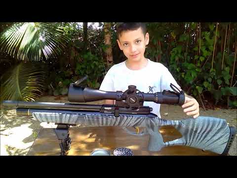 Upgraded Gamo Urban  PCP Airgun