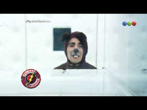 Operación Mosca, la rata - Peligro Sin Codificar