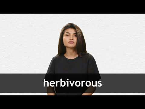HERBIVOROUS definition and meaning | Collins English Dictionary